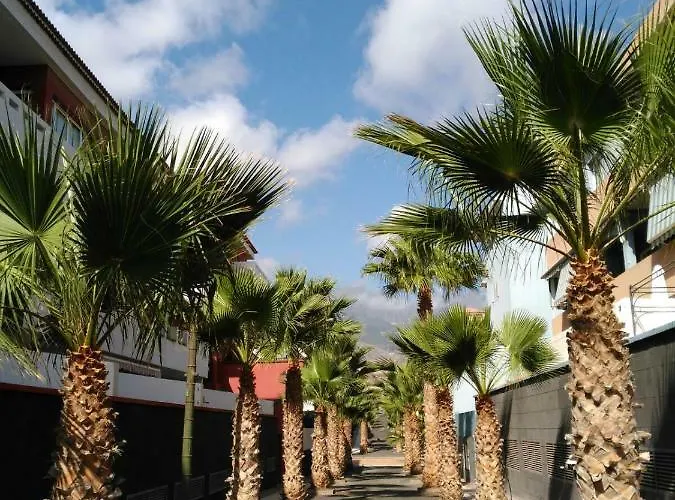 Apartament Delgado Y Ruiz