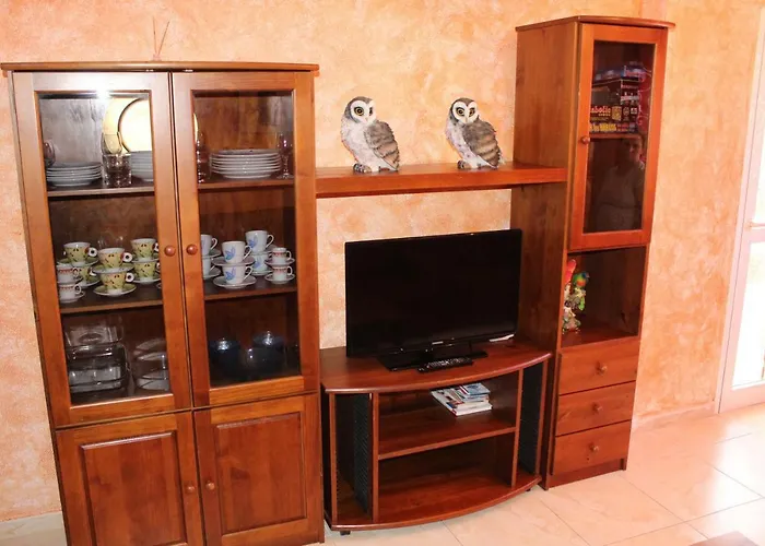 Delgado Y Ruiz Puertito de Guimar